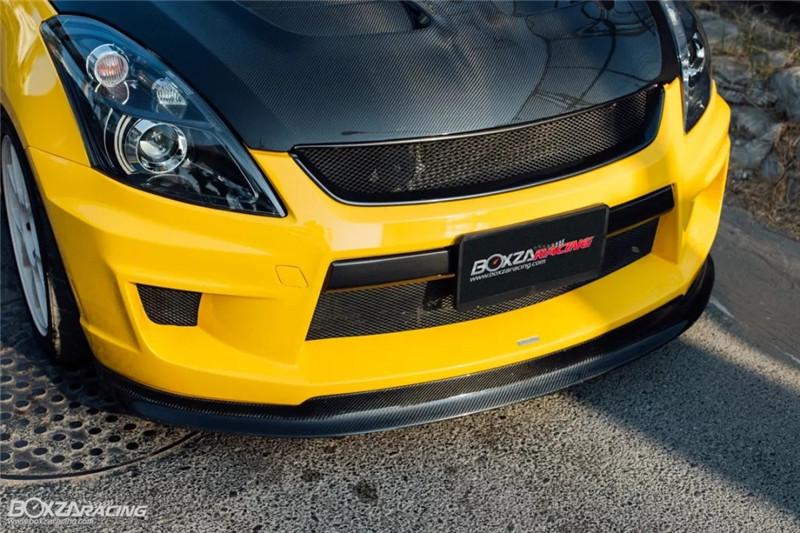 铃木雨燕小乳鸽,雨燕乳鸽