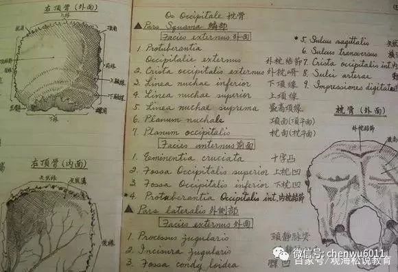 从复旦到川大，四所医科大学的学生课堂笔记：医学生有多不容易？