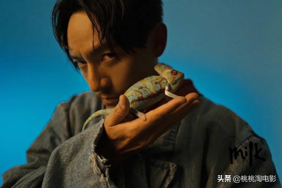 张震新片沙丘,张震图片写真