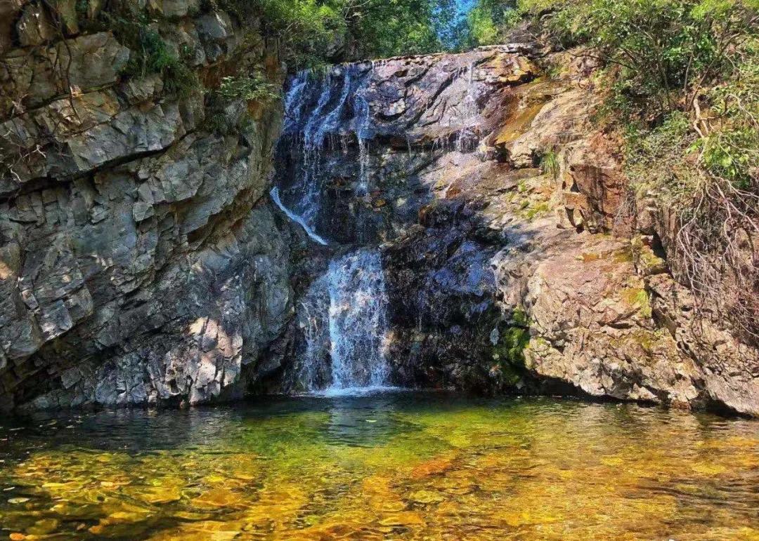 一个不出郑州的踏青好去处,天津春游公园推荐