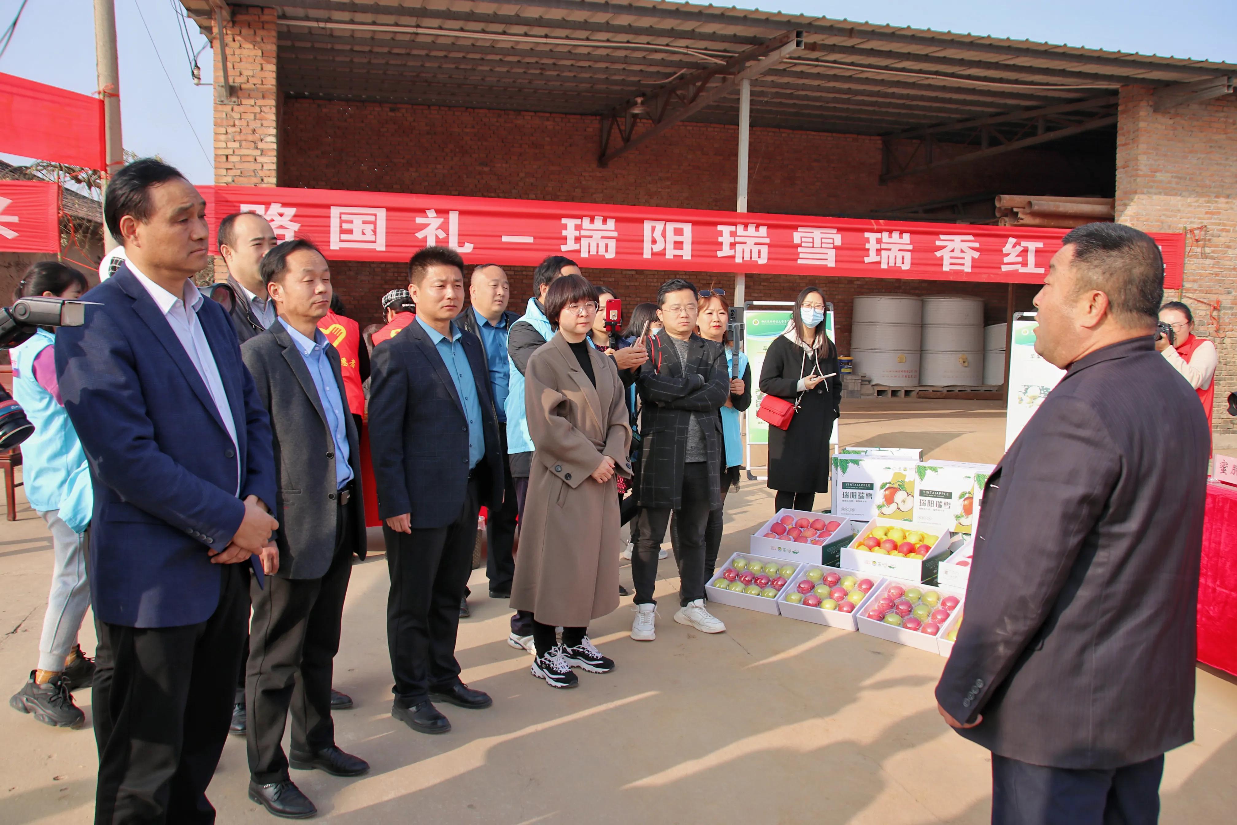 一品苹果·唯美印台，陕西果业产区行走进铜川印台区苹果优生区