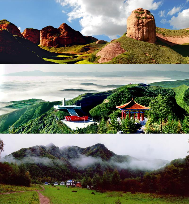 宁夏回族自治区政府,宁夏回族自治区区号