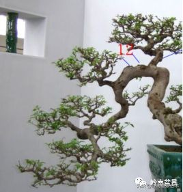 名师讲堂节选视频,名师课例分享及研讨交流