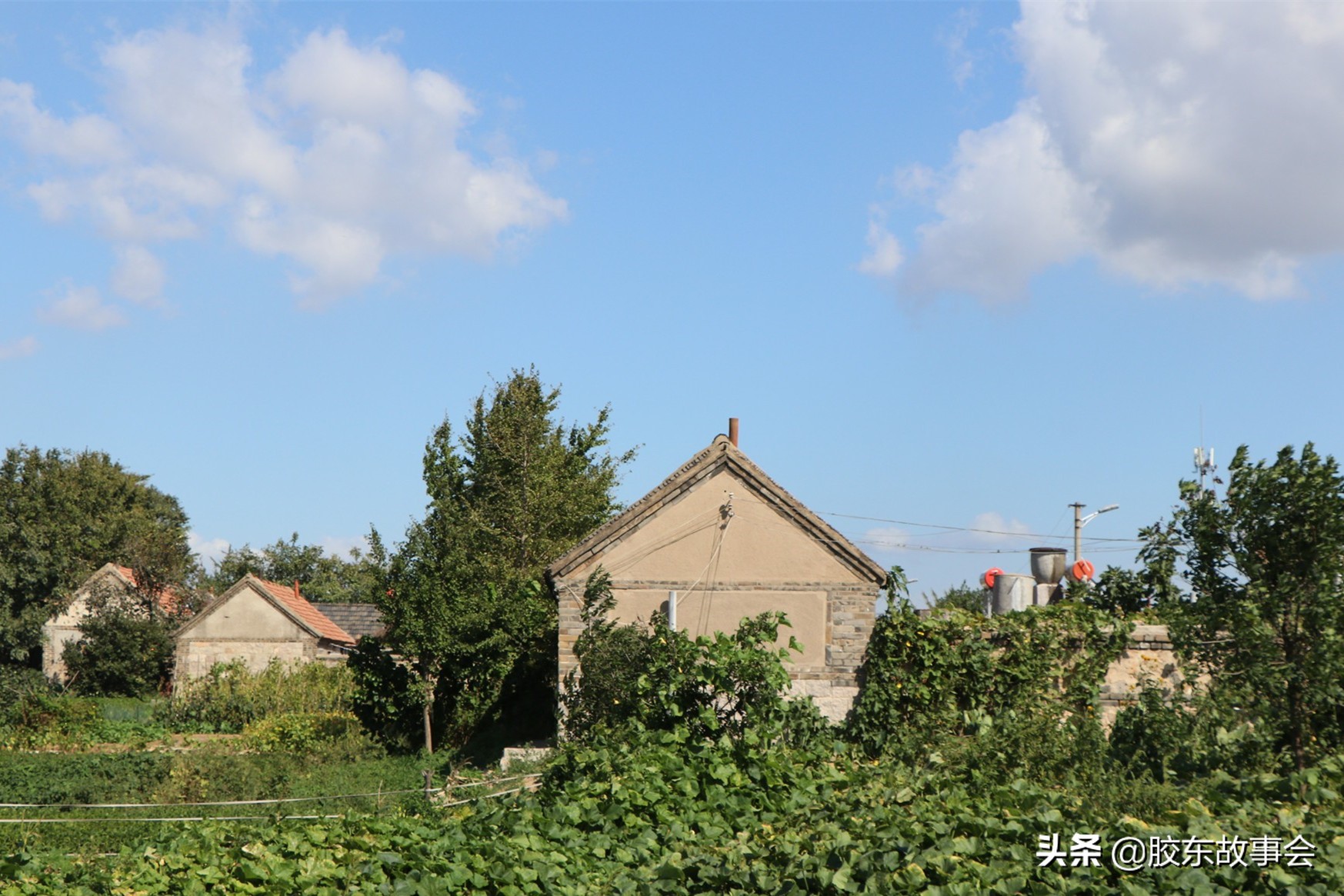 徐士林威海,徐士林个人资料