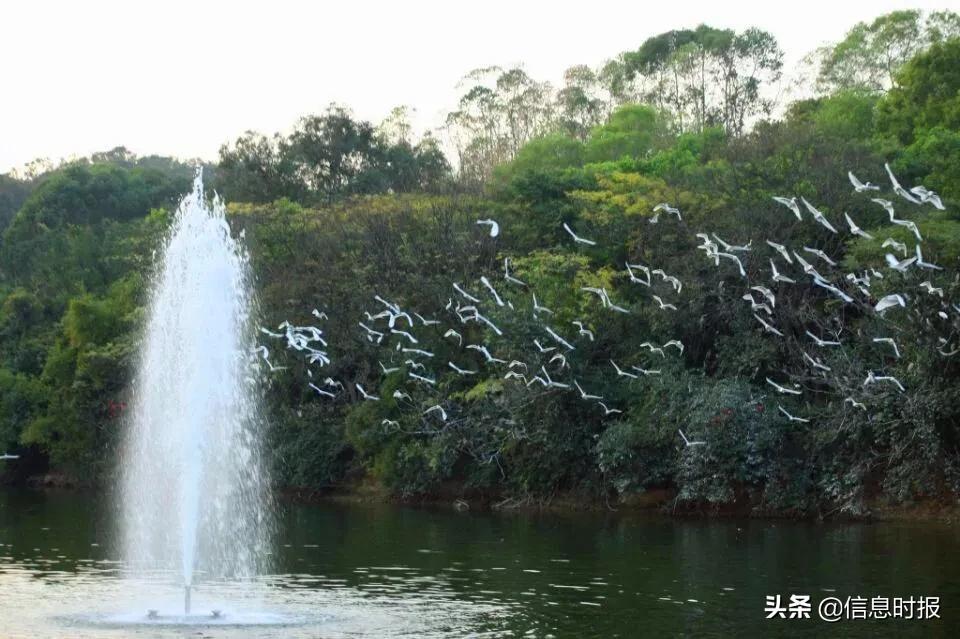 五一去广州旅游攻略路线,五一从广州出发去哪里好玩