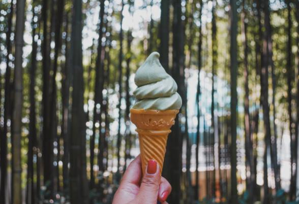 竹林被韩国申遗成功了吗,全球唯一申遗的古茶山