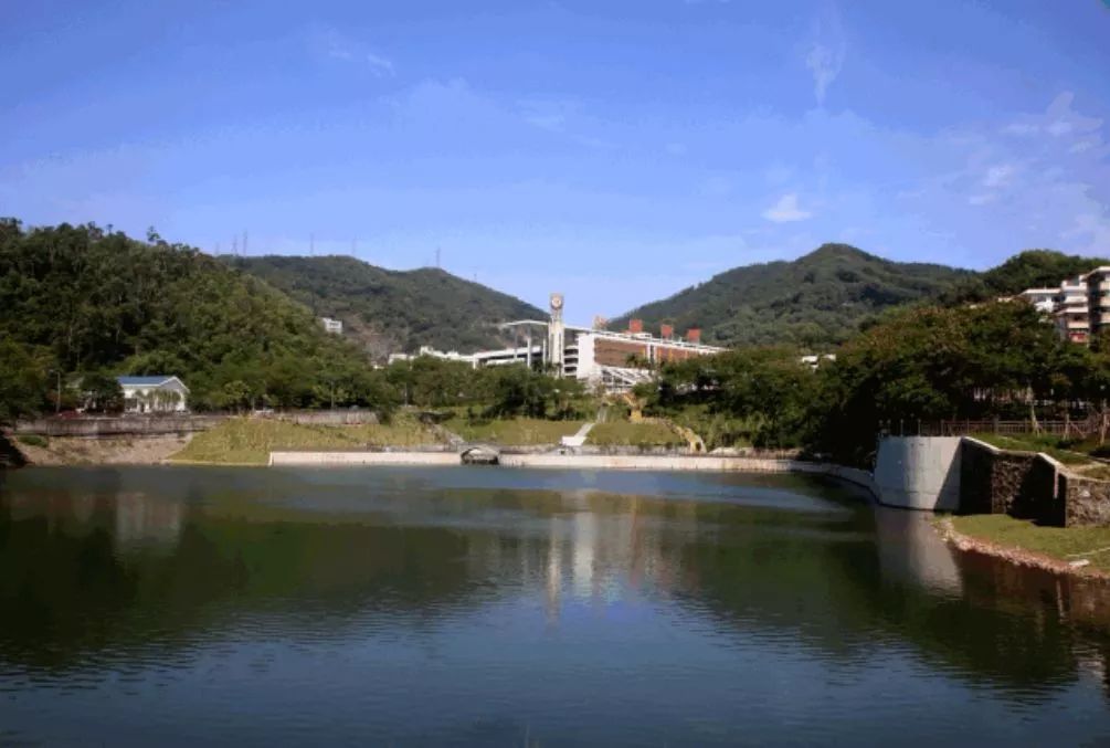 红岭中学可以走读吗,深圳红岭中学优缺点