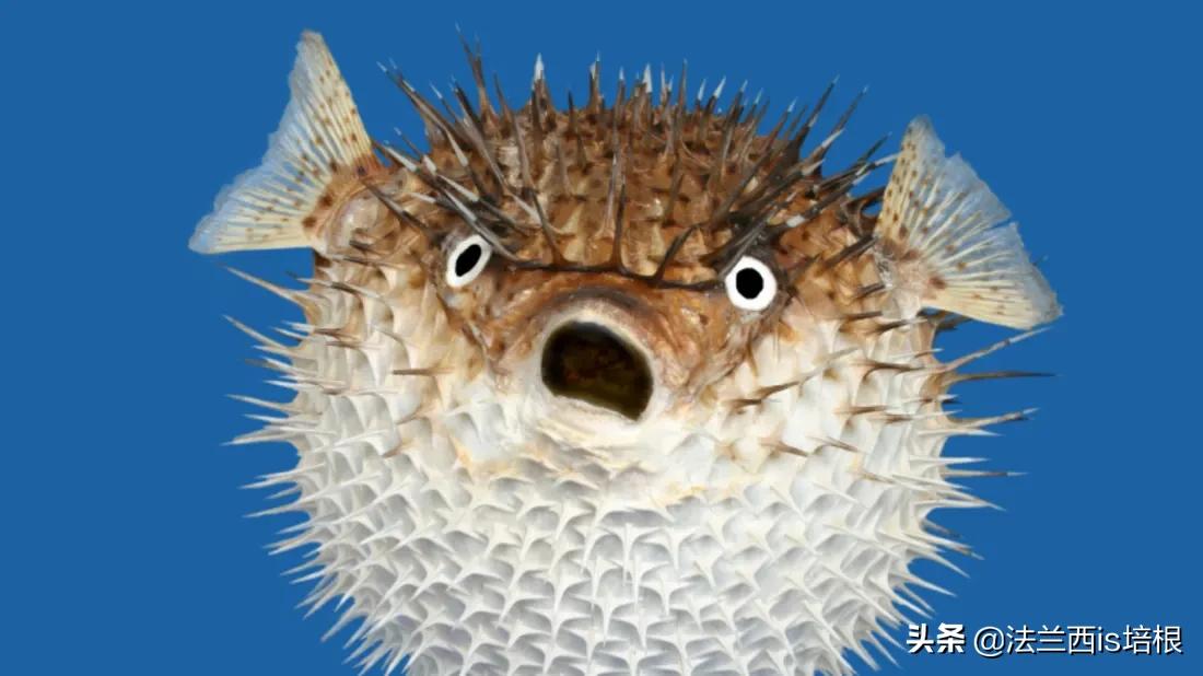 河豚中毒的特效药,河豚中毒特效药