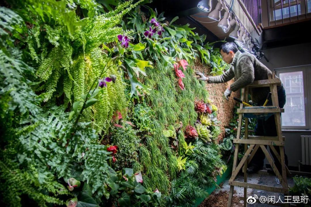 王昱珩不上班做到财富自由,最强大脑王昱珩清华毕业后不上班