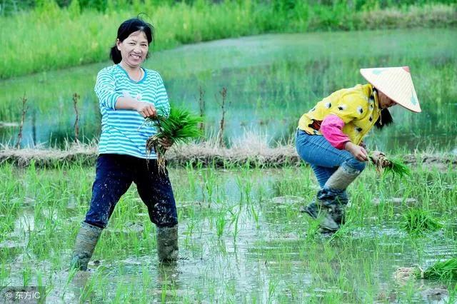 农民包地需要缴税么,农村包地100亩一年多少钱