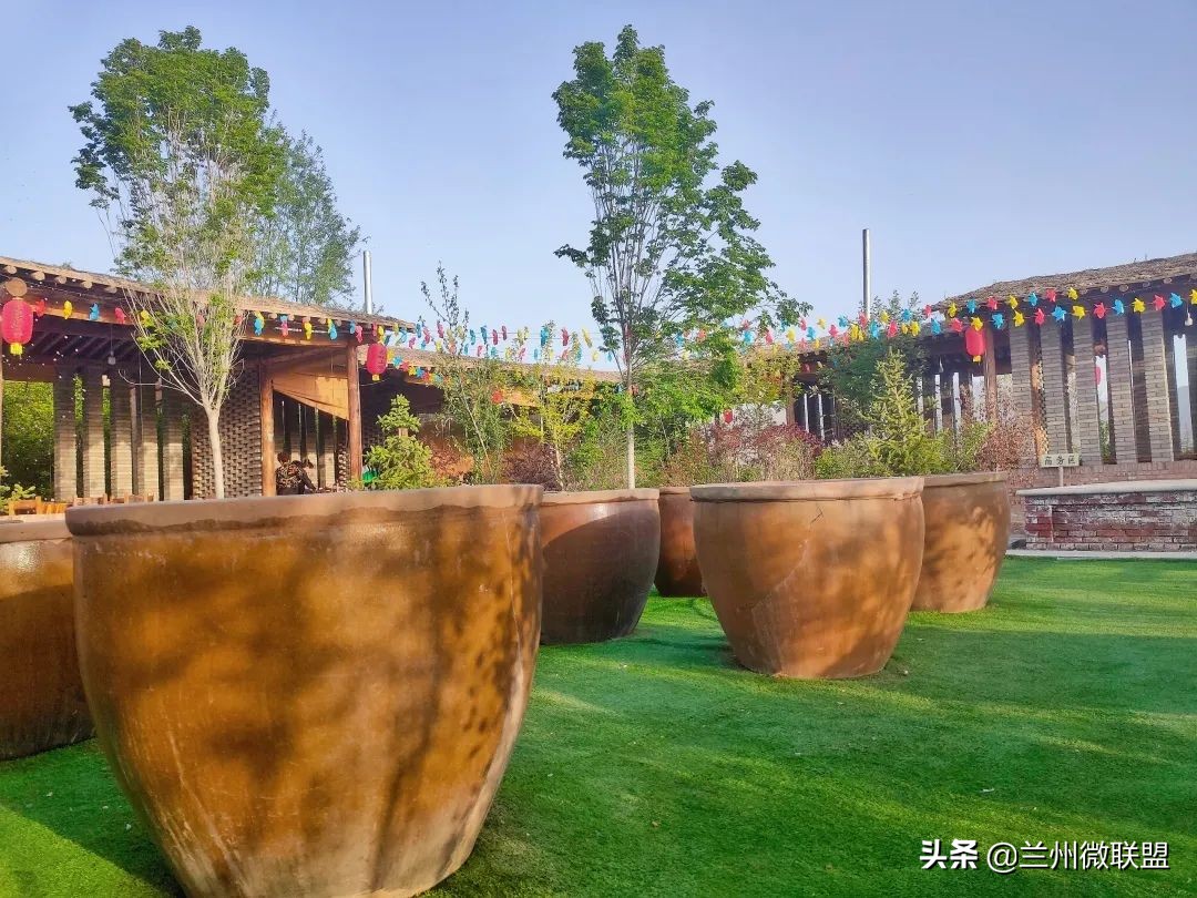 杏林湖黑天鹅,五一假期观光兰州