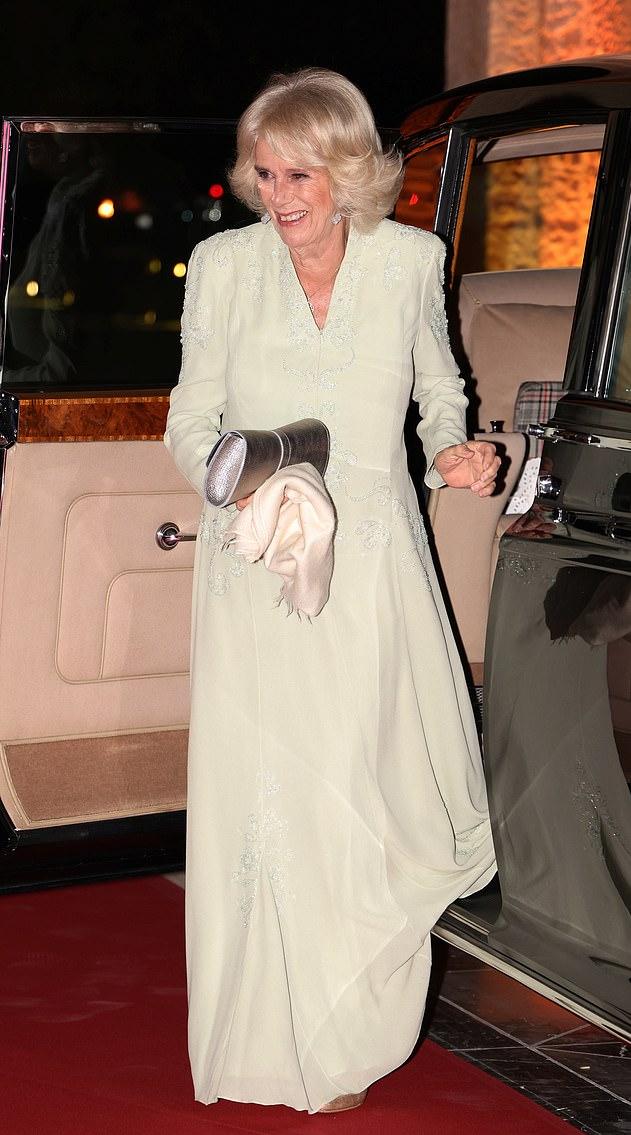 卡米拉佩戴戴安娜胸针惹非议 (卡米拉穿丝绒长裙)