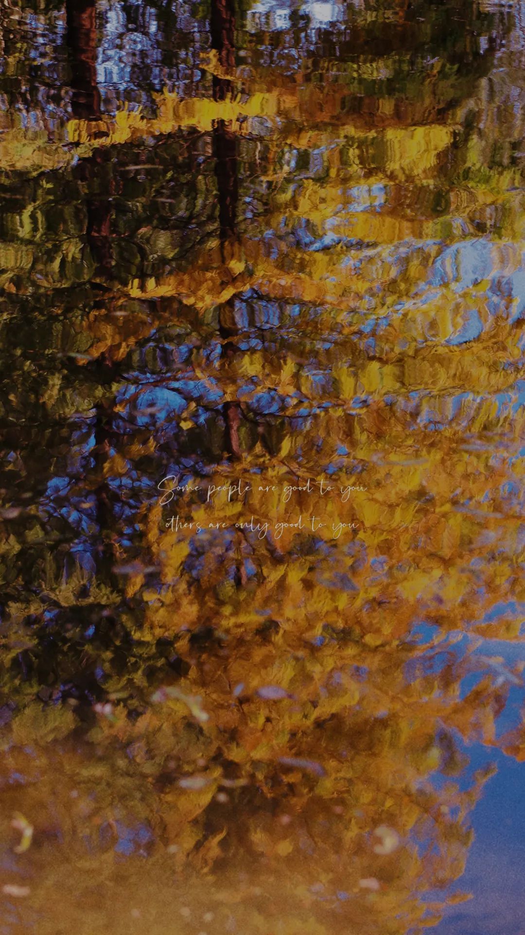 上海最美秋景,上海哪些公园可以拍秋景