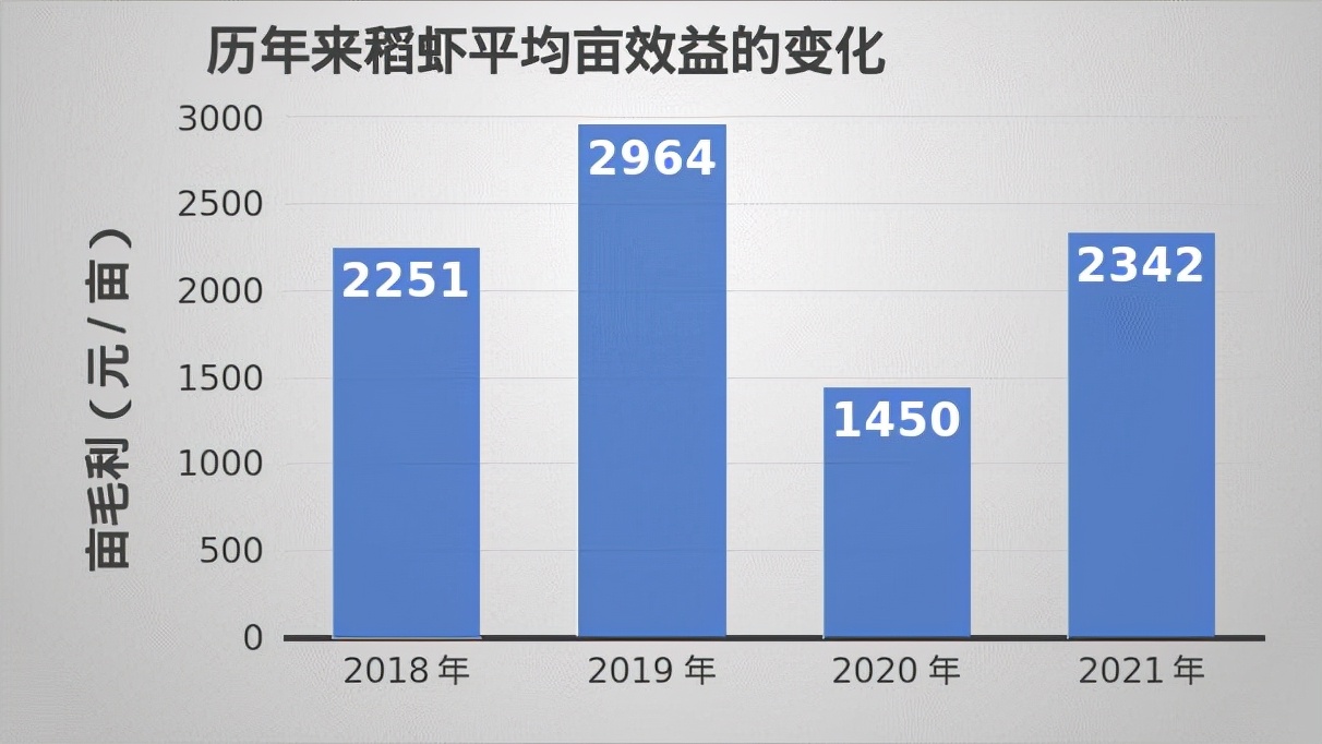 2019年养小龙虾怎样,2024年小龙虾怎么养