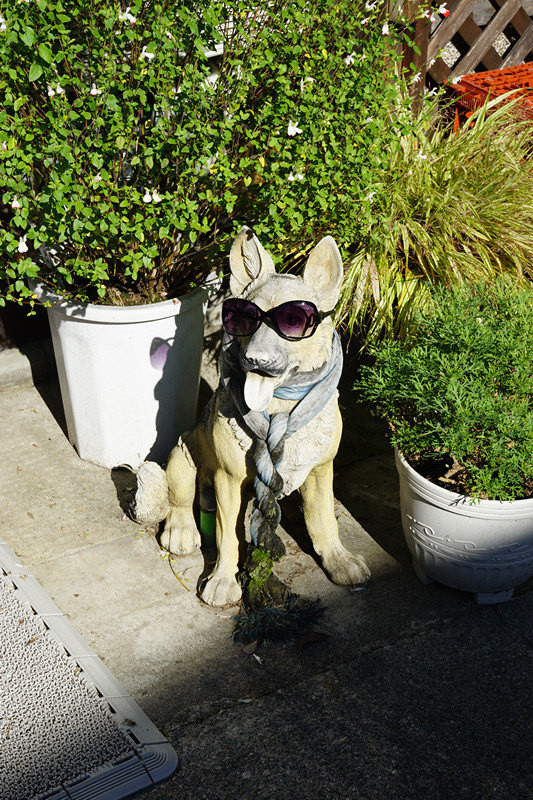 五天三晚之邂逅名古屋，新奇的日本之旅