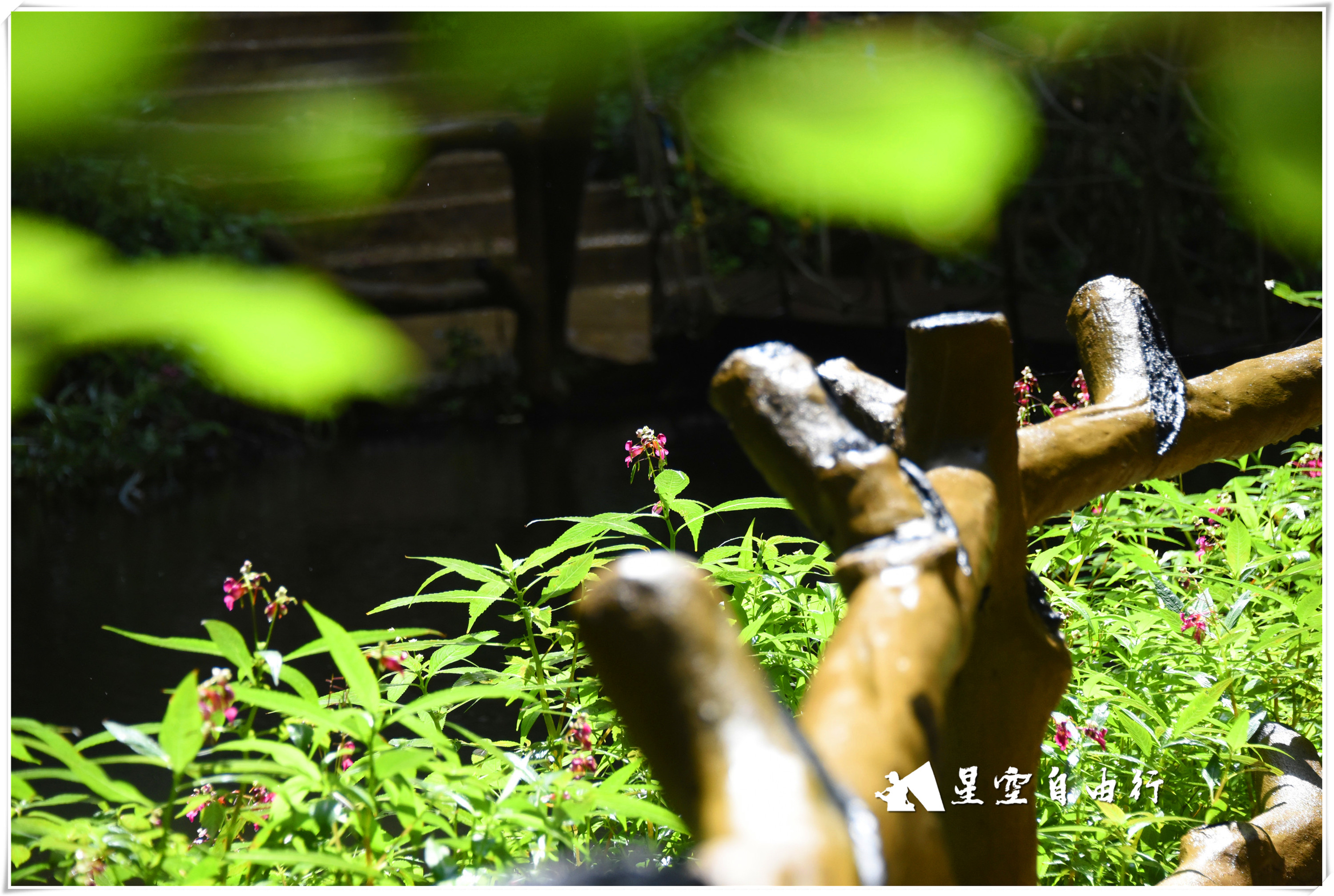 玻璃桥青龙峡,大瀑布玻璃栈道有碎裂效果吗