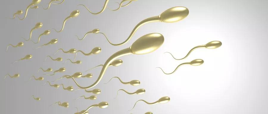 少弱精怎么治多久能看好,少弱精该如何去调理改善