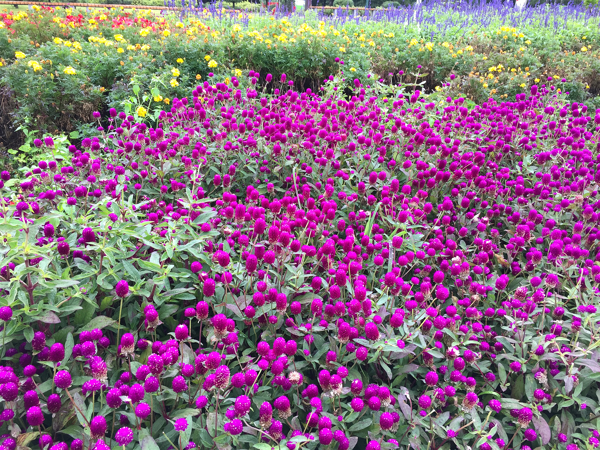 长春有名的旅游打卡地,长春春天打卡景点