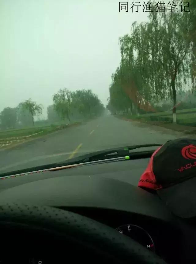 钓鱼记录2019,最新的钓鱼日记