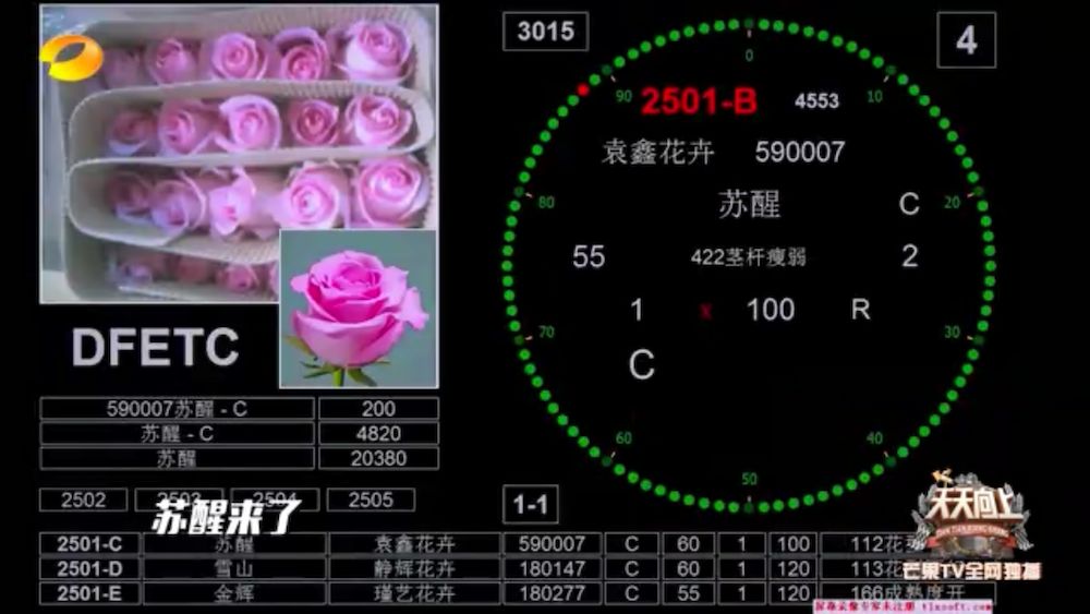 花卉市场卖花和鲜花店卖花,最繁华的花卉市场