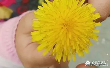 怀孕第一胎准生证怎么办理,成都东部新区准生证办理