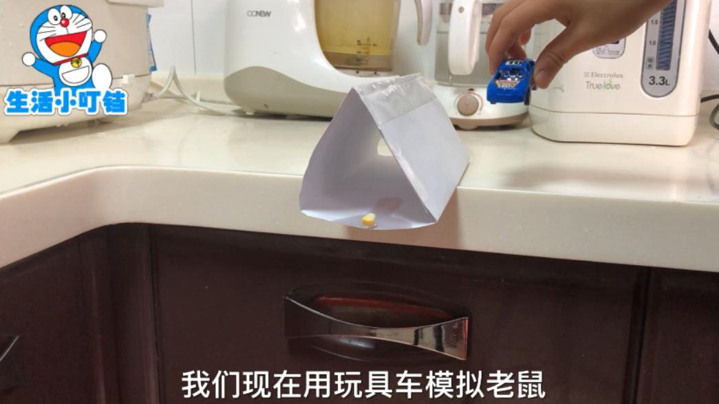 家里抓老鼠的最简单方法,家里进老鼠怎样快速捉老鼠