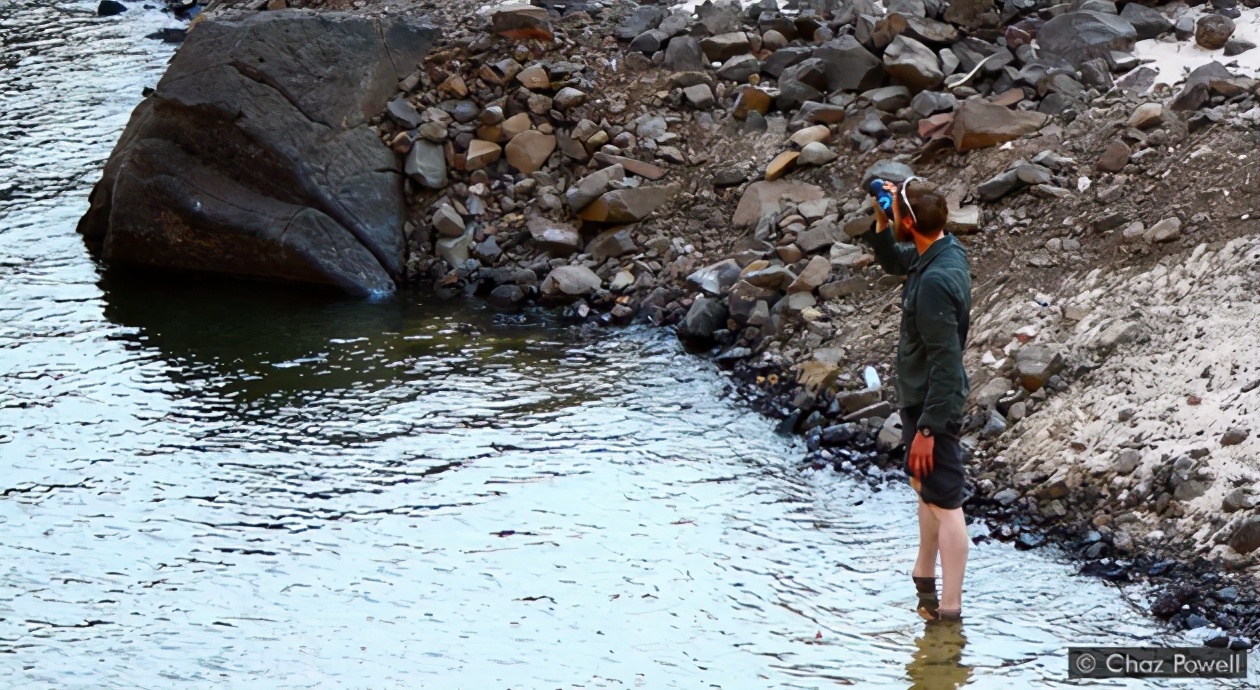 身体缺水能导致脑子不清醒吗,血液里缺水会引起哪些疾病