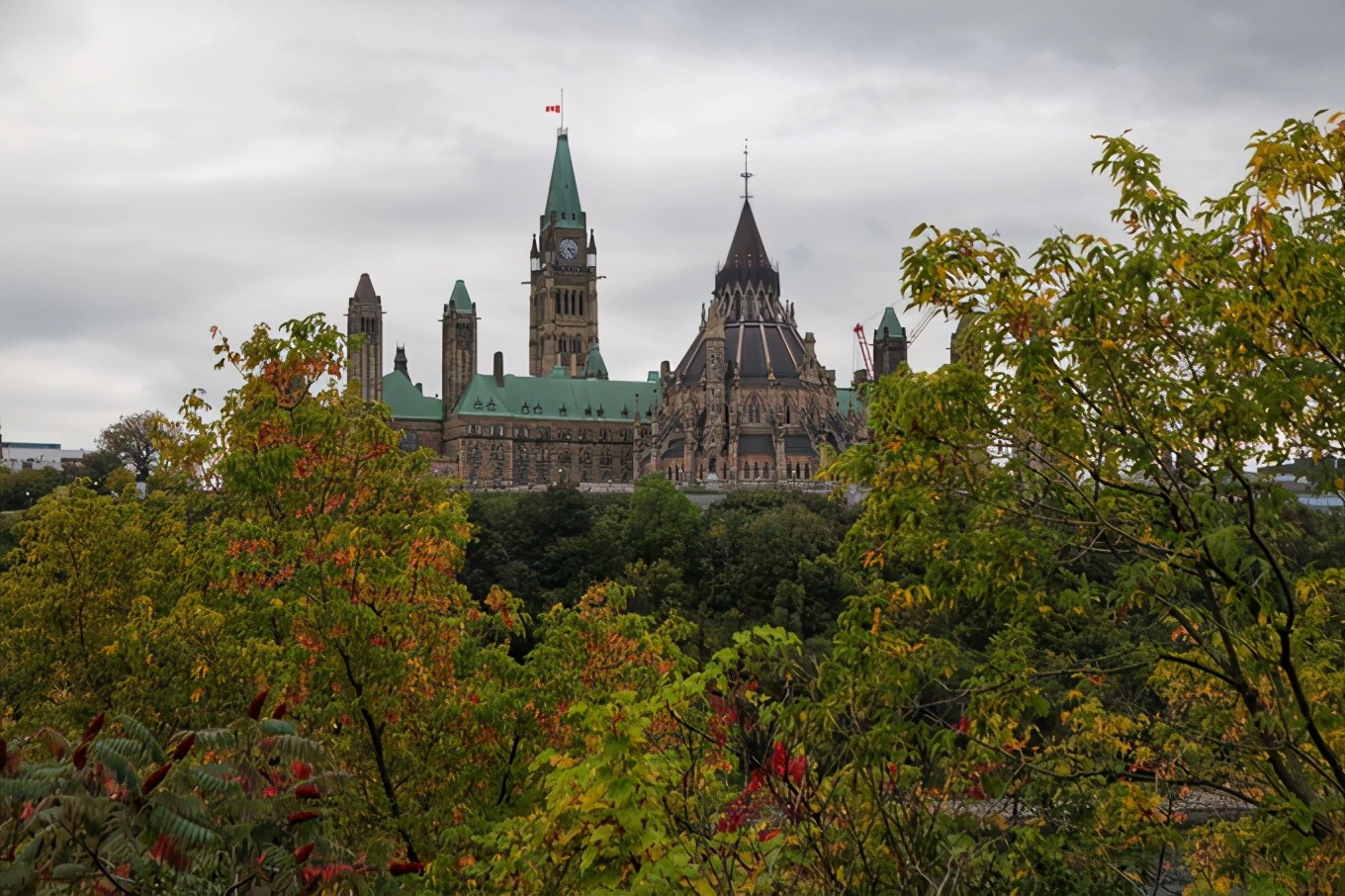 「怀念系列」加拿大（5）｜品尝奥巴马同款枫叶糖