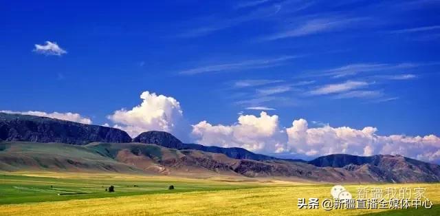 *疆新**人这么牛逼，你不知道吧