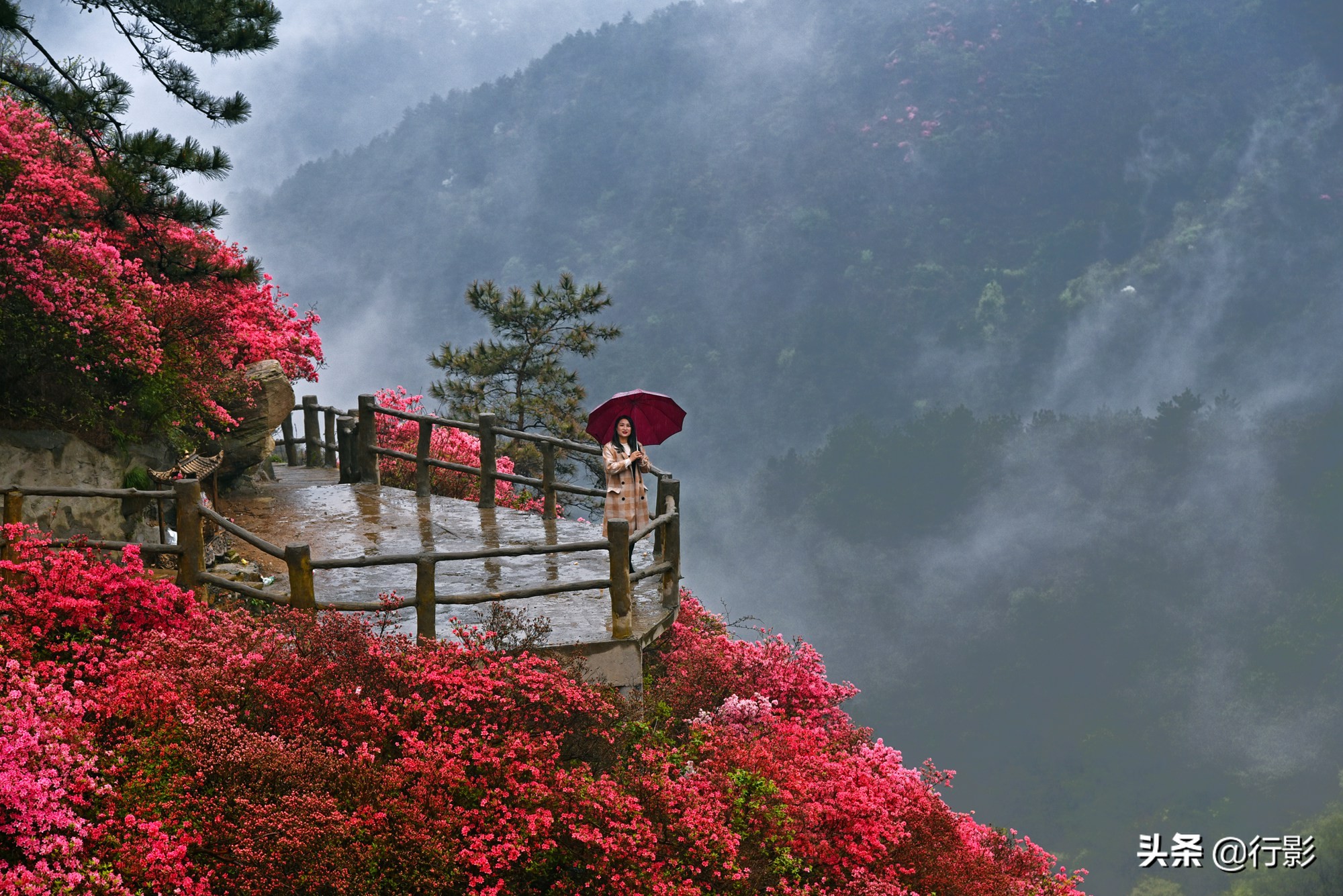 云雾山武汉,武汉汉口北打卡网红景点