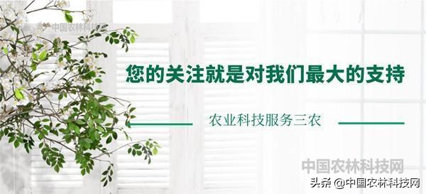 江上琼阁石宝寨!一县一品公益助农,重庆忠县农特产品柑橘