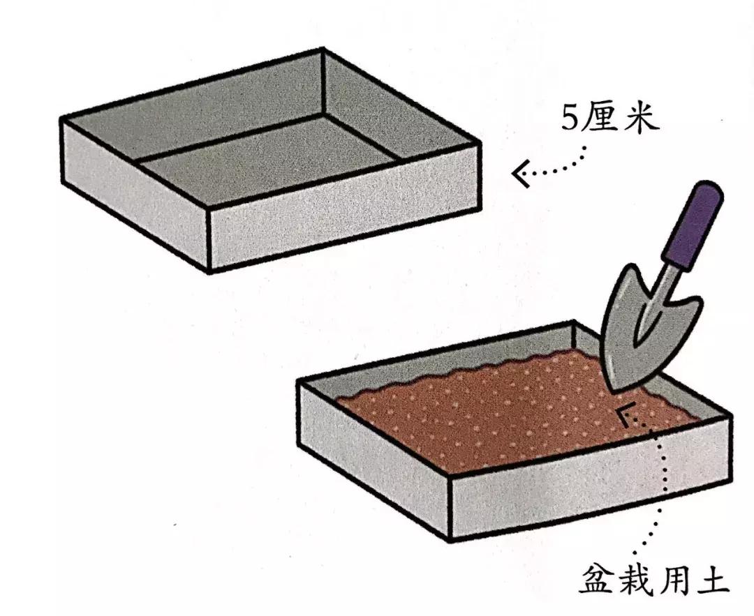 水肥一体化滴灌简易制作,农田滴灌制作全过程
