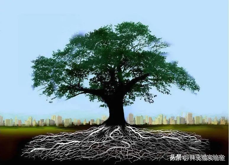 自制浇花神器自动浇水,制作浇花器一年都不用浇水