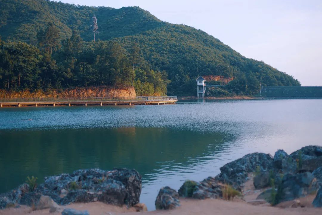 隐居酒店浙江,金华梧杉隐居民宿酒店