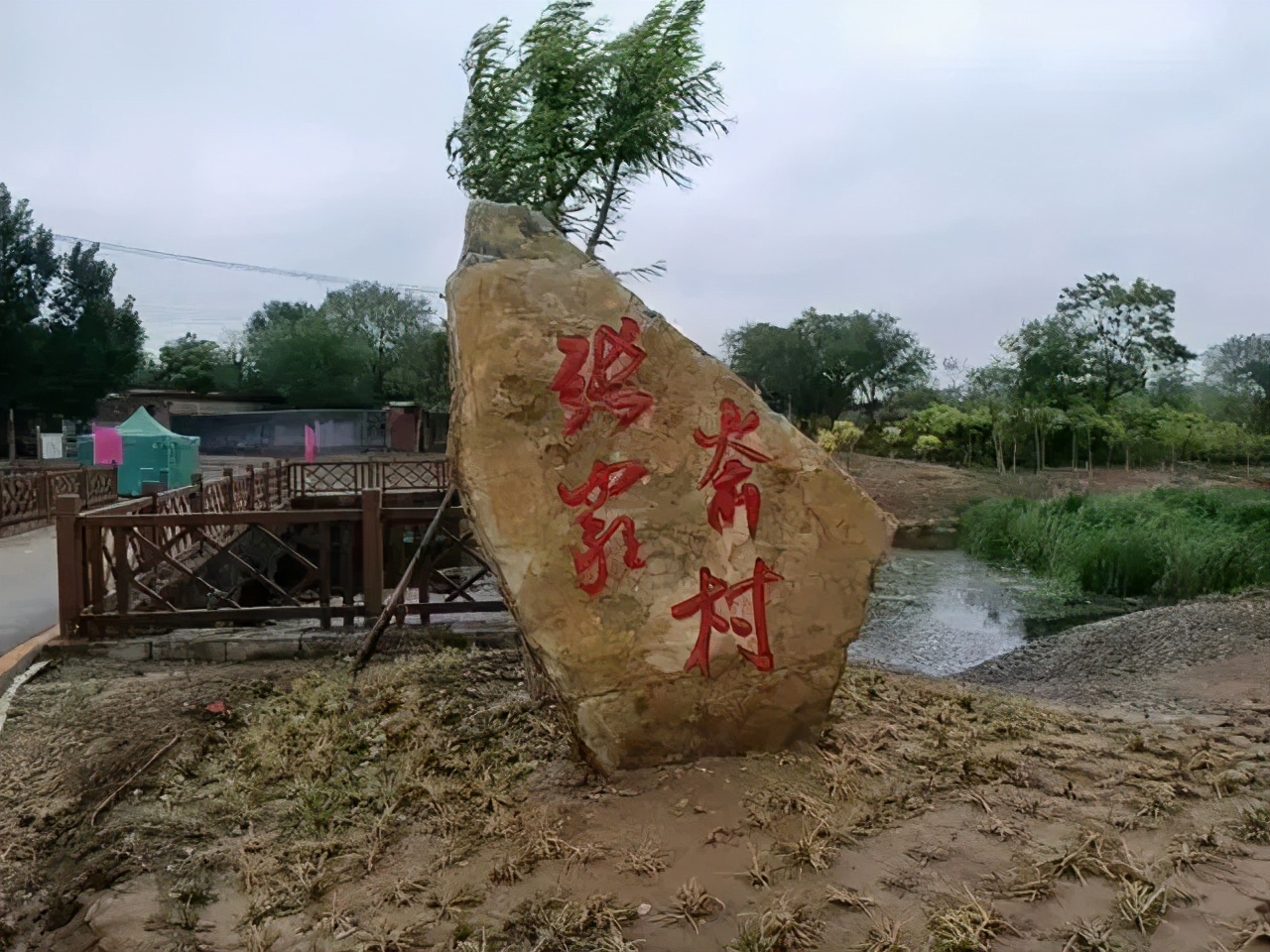 《复兴你好》第二十一期