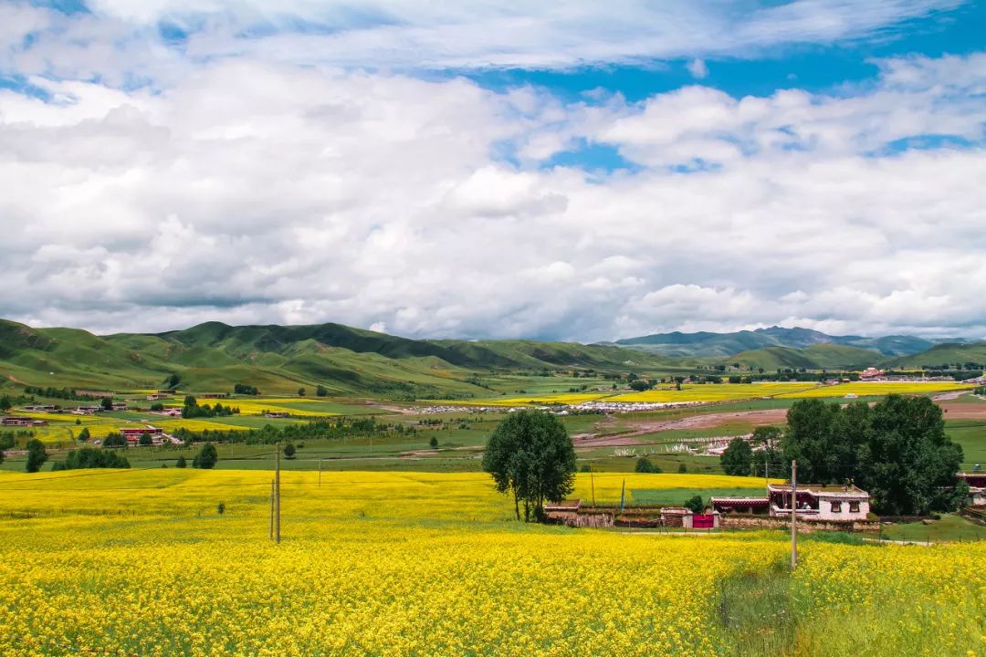 情歌故乡，格萨尔王故里，不去*藏西**就去梦中的香巴拉