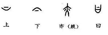 小升初语文知识复习——汉字（二）