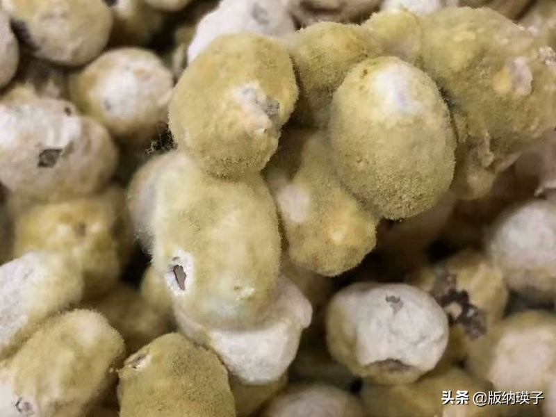 自制豆豉辣椒酱的家常做法,自制豆豉要蒸多久