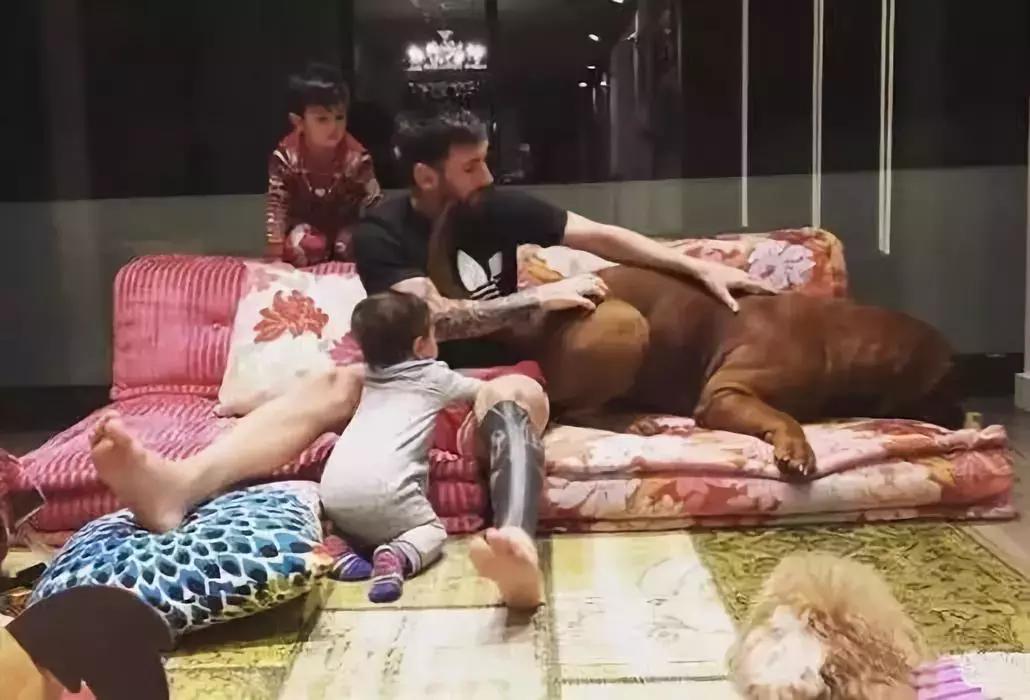 足球巨星c罗的别墅,梅西豪宅c罗豪宅