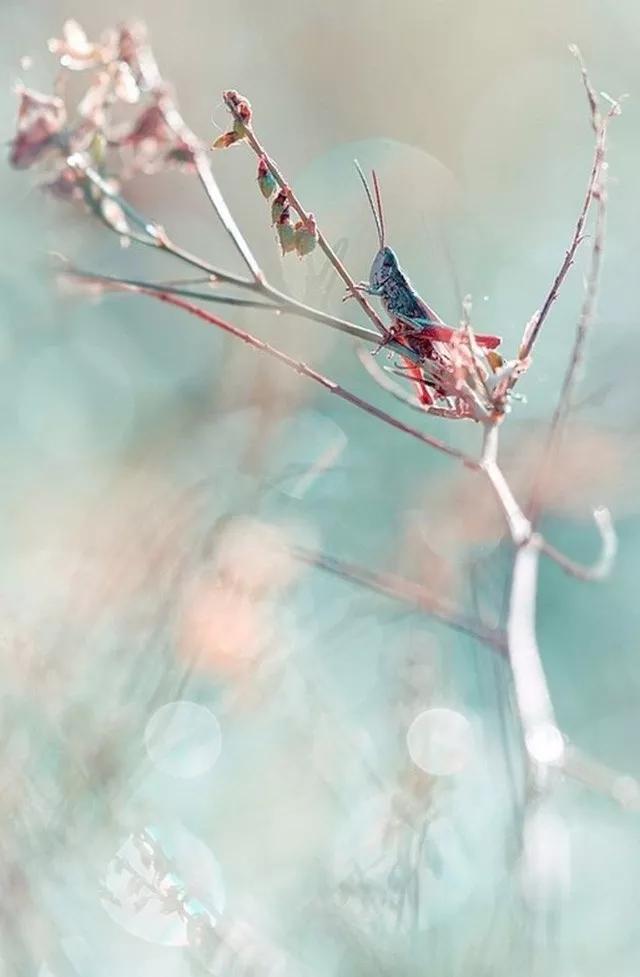 善忘是人生最高级的修行,善忘是什么境界