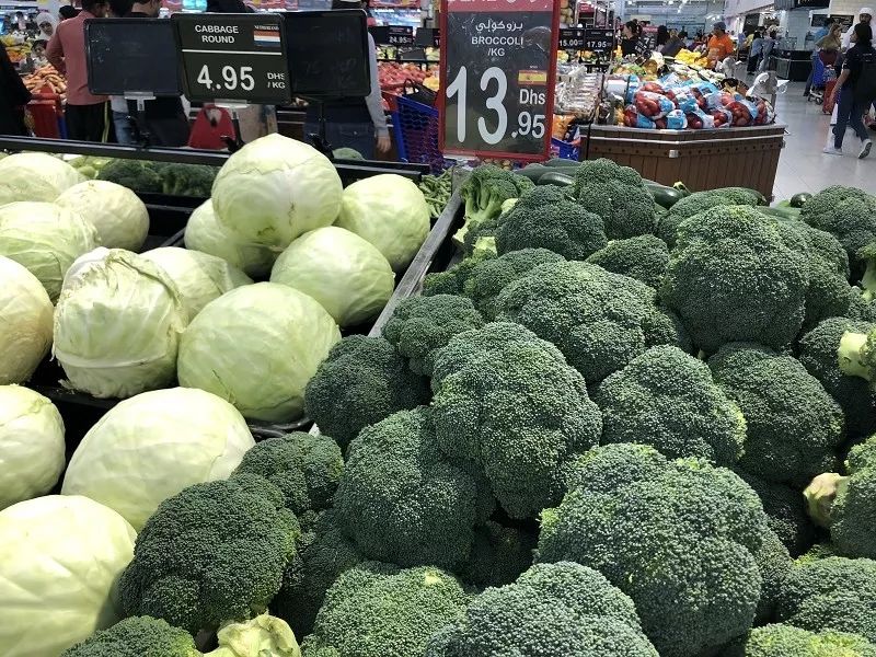 新加坡和迪拜生活成本,迪拜生活费用价目表