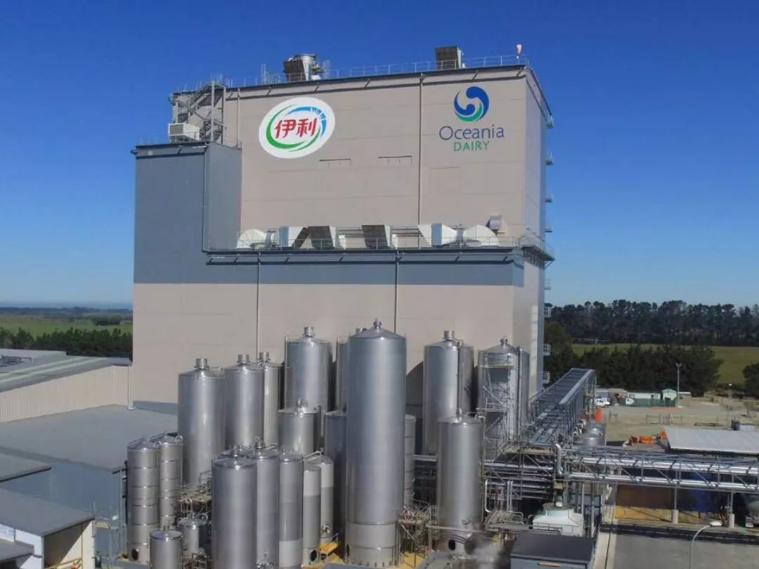 伊利新西兰牛奶,伊利未来牛奶谷基地