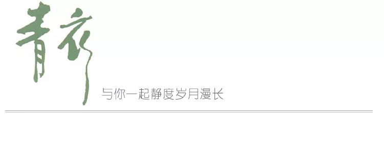 赵忠祥的岁月随想,赵忠祥一个不平凡的日子