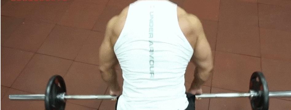 背肌倒三角训练的王牌动作,倒三角体型怎么改善背肌状态