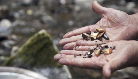 民国时期俗称黄鱼的金条值多少钱,民国金条价格表大全及图片