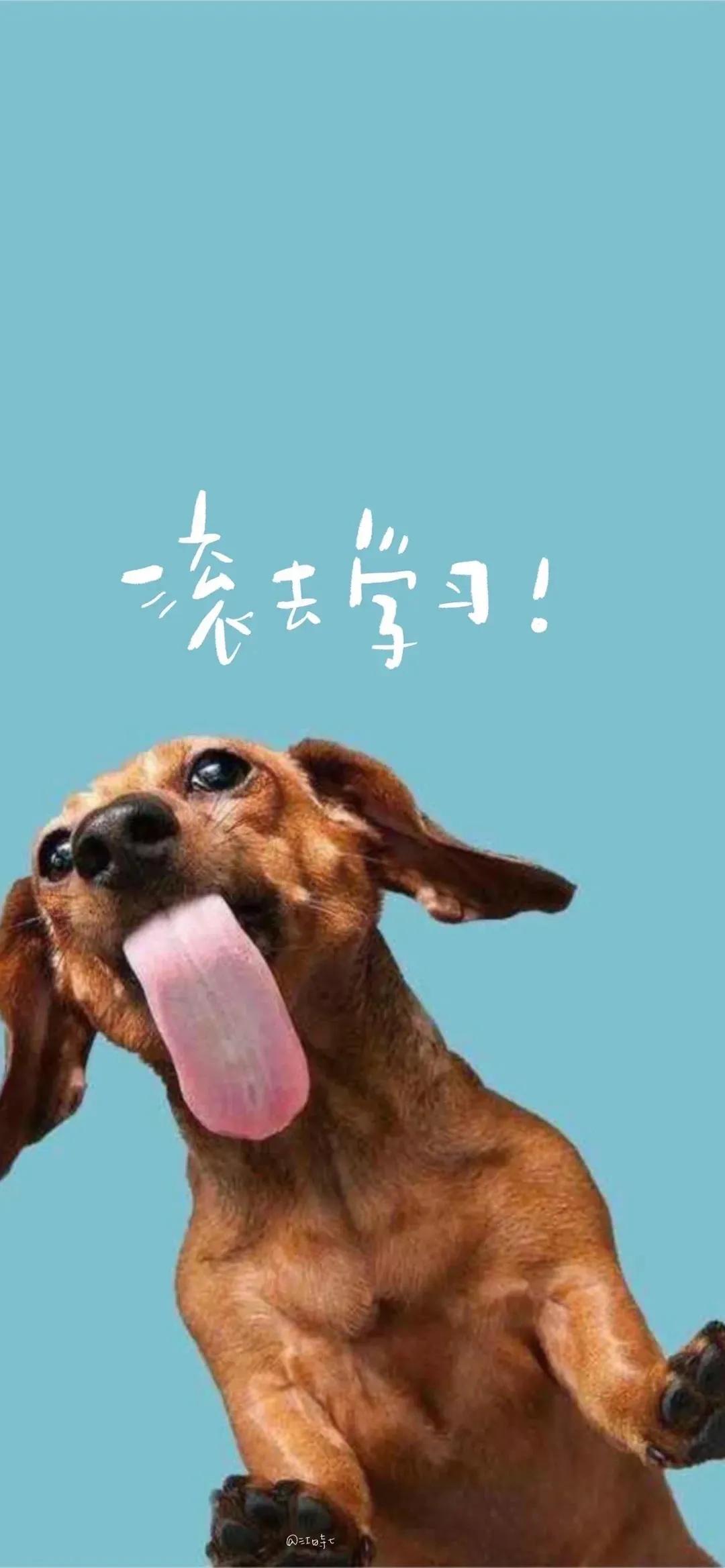 壁纸主题商店主题壁纸大全21,最新手机壁纸高清壁纸