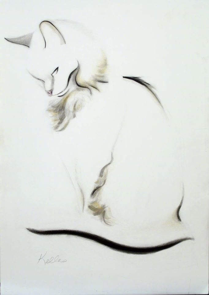 美式复古插画猫,插画猫咪线条