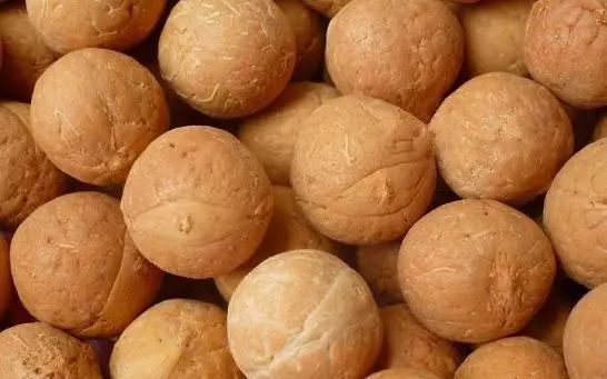 凤眼菩提眼睛漏了怎么办,凤眼菩提的眼睛各种形状