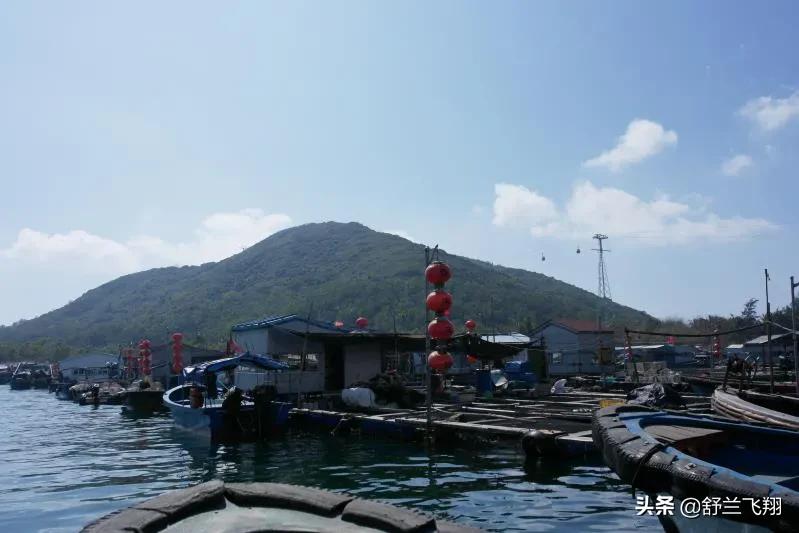 海南南湾猴岛上的猴子,海南著名的南湾猴岛在哪里