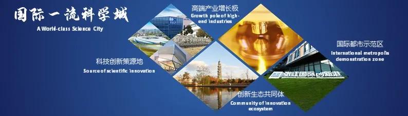 张江掀起浪潮,上海张江生机勃勃